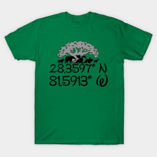 Coordinates to AK T-Shirt